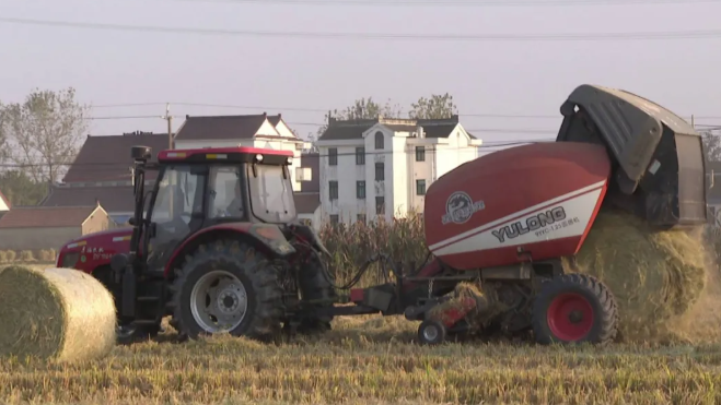 202106111623383074258104.png image.png