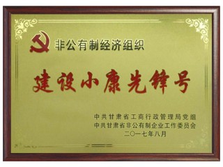 非公有制經濟組織建設小康先鋒號